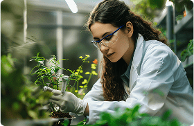 A researcher studying plants in a greenhouse, symbolizing New Zealand's focus on sustainable environmental science education